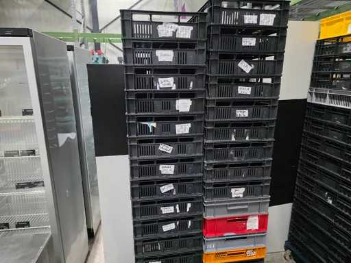 Caisse en plastique (32x)