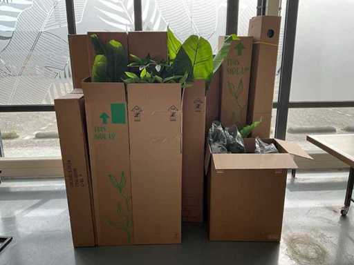 Diverse kunstplanten en kerstdecoratie