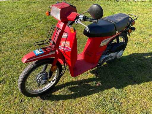 1983 Honda Scoopy moped - nostalgia