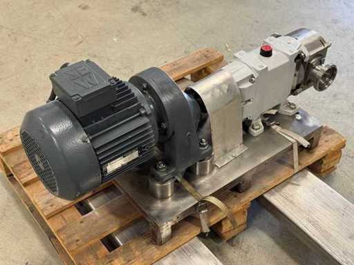 Jabsco - Pureflo Lobe - A2 5774 - Pompa