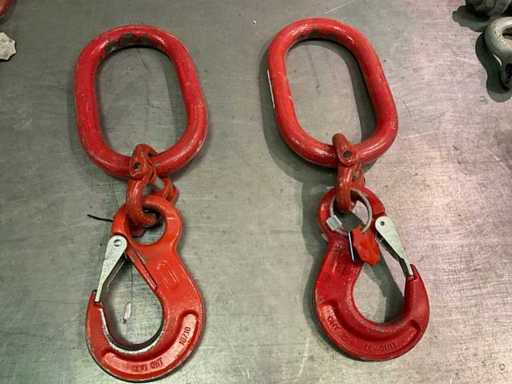 Ganci di sicurezza autochiusi 12,5 tonnellate DIN EN 1677 grado 8 (2x)