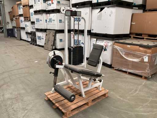 Life Fitness Beinstreckung