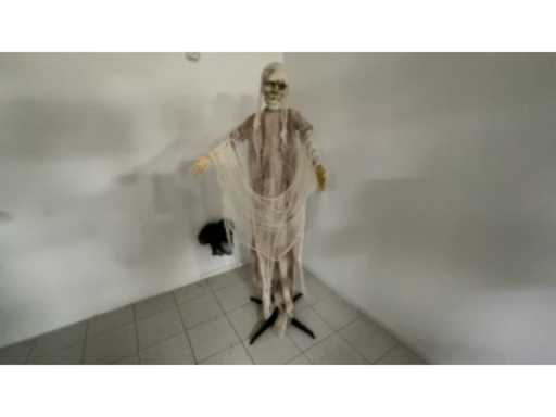 3d717bac-95a1-4bf6-97b0-16ce005f9d51.mp4