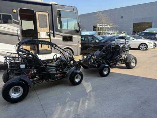 PGO - BUG RIDER - BR250 - Quad