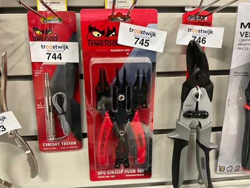 Tengtools Set di pinze per anelli elastici