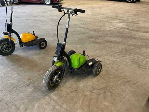 Briski Electric Step/Tricycle