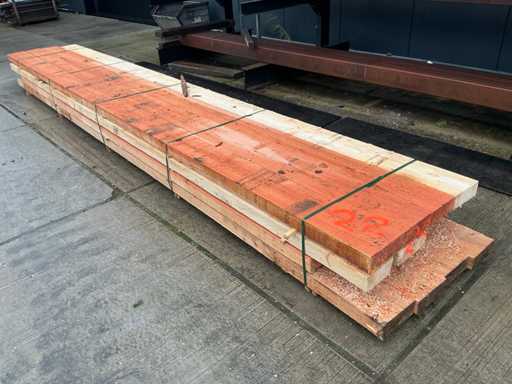 Fascicul Douglas (16x)