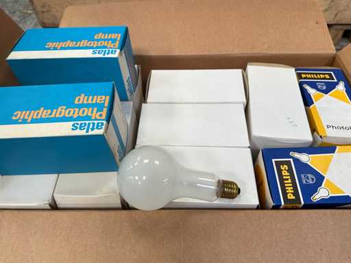 Vintage foto lampen (25x)