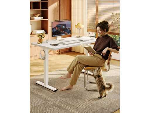 FLEXISPOT 48 x 24 inch height-adjustable electric sit-stand desk