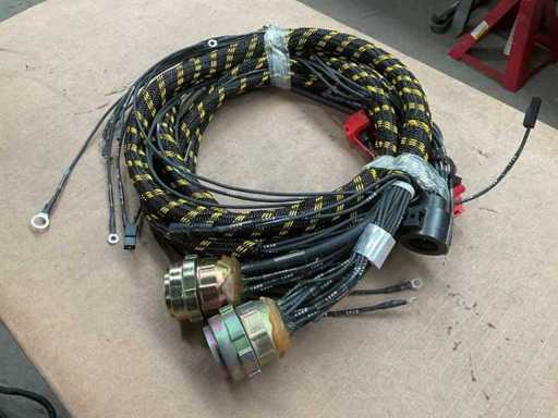 Wiring harness (2x)