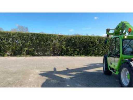 7ef5bce7-3726-4e02-bbaf-0e5696a3f2ce.mp4