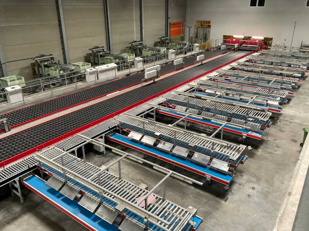 Fruit sorting machines, packaging and dipping machines