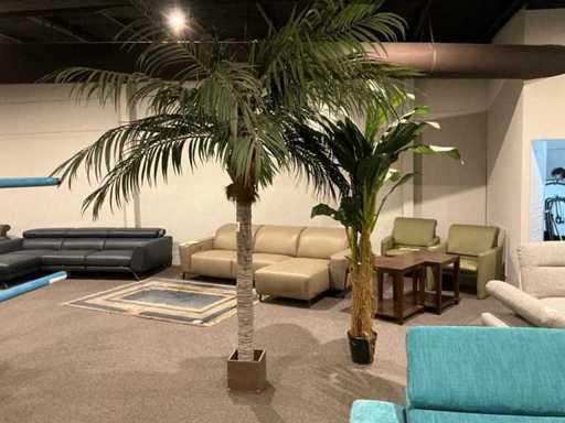 Arbre ornemental (2x)