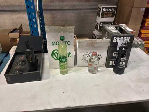 Festa di vodka, gin e aperitivi