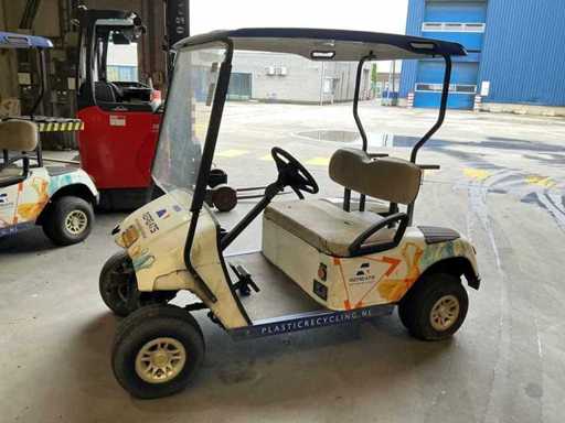 2021 Bringo DG-C2 Golfkar