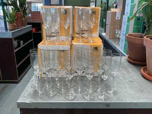 Royal Leerdam Plaza Champagne glas (100x)