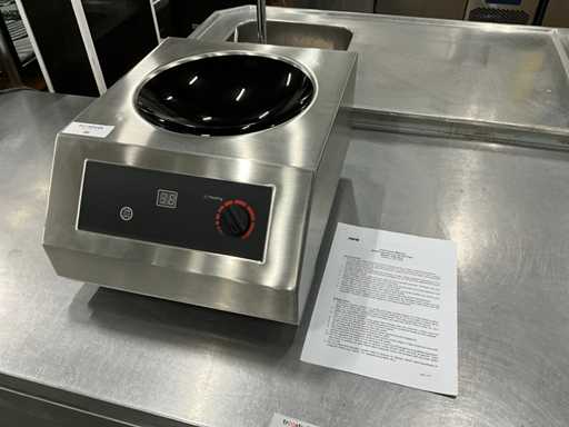 Wok-ul de introducere Saro CW 35-A