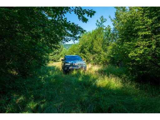 23.781 m² Mischwald in der Region Vidin – Bulgarien