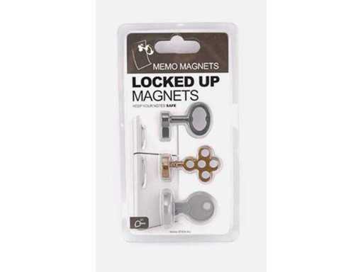 Partij Memo Magneten (700x)