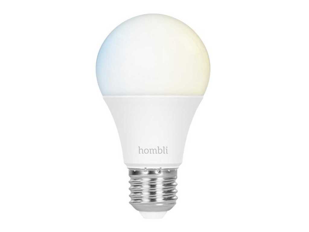 Hombli smart 2024 bulb e27