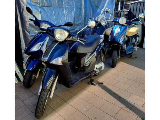 Motorisierter Roller (4x)