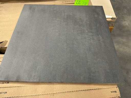 Mosa Terra Anthrazit (216 MR) Bodenfliesen (60x60 cm, 65m²)