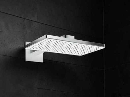 Hansgrohe RM 460 1 Düsendusche mit Arm
