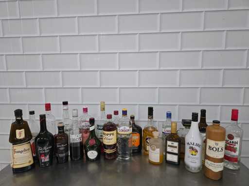 Bols / Tia Maria / Vieux, etc. Sticla de spirite (24x)