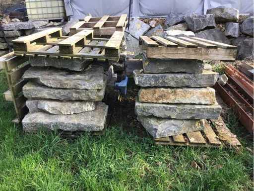 Dalle de jardin en pierre naturelle (4x)