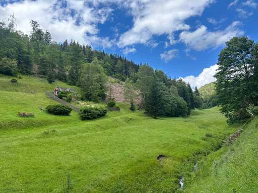 1.5 hectares of farmland and tree canopies Thuringian Forest