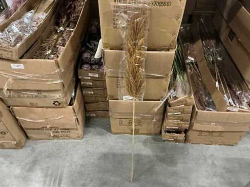 Lot Coco Maison Pampas Gras H115 cm (174x)
