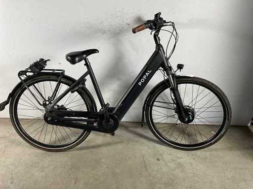 Papal Elektrofahrrad