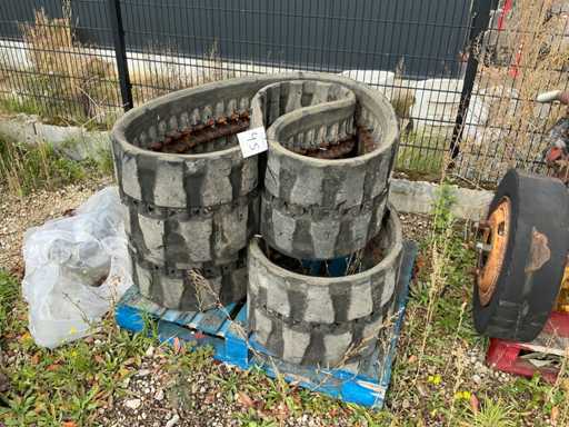 TAKEUCHI Rupsbanden (2x)