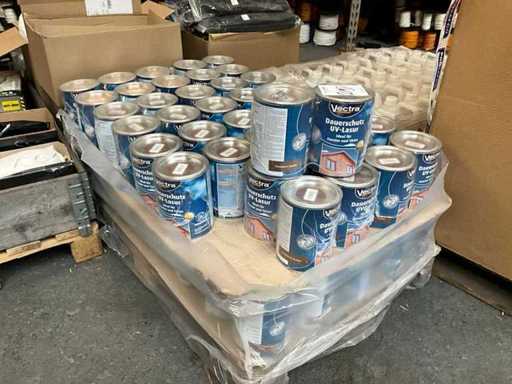 Vernice Vectra (80x)