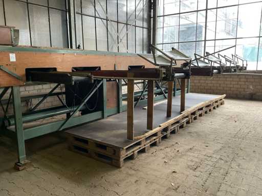 Demco Bulb Sorting Machine
