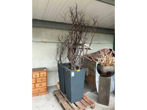 Kamienna doniczka na kwiaty (2x)