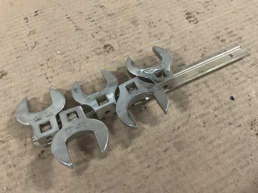 Setul lui Williams Crowfoot