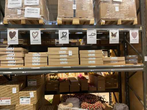 Bioline Oasis de Fête