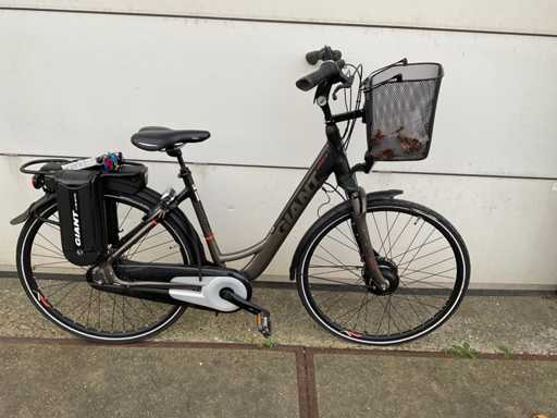 Giant ease e Elektrische fiets