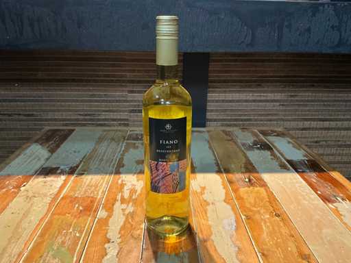 Anno Domini - 2020 - Fiano - Witte wijn (6x)