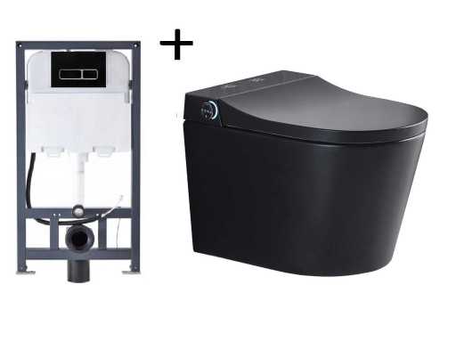 Built-in wall closet with cleaning and automatic toilet seat