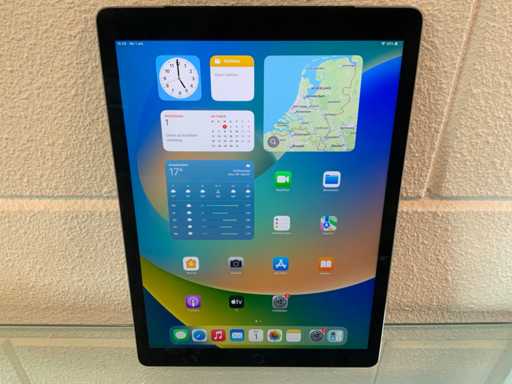 Apple Ipad Pro 12,9 pouces 128 Go Wi-Fi + Cellular Gris sidéral
