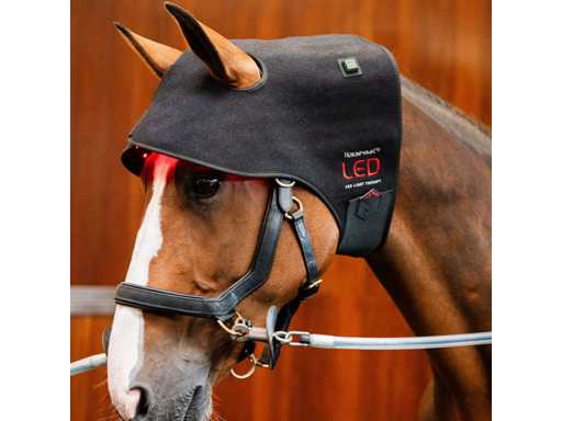 Horseware FU TLHNT1-KK00-FU LED Red Light Therapy Cap Pollcap