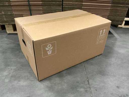 Partia pudełek na kwiaty 585x385x272mm (300x)