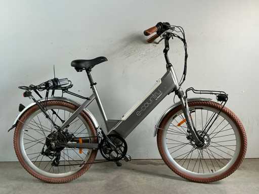 Wattitud E-Country Electric Vélo Femme