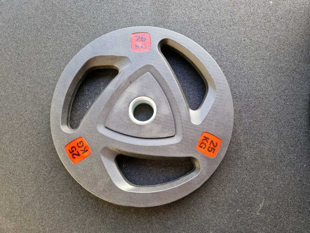 2023 - Weight plate 25 KG (2x)
