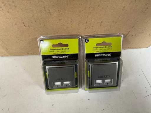 Smartwares-Buchse 2x USB eingebaut 5V/max 2.0 Ampere Serie S2 (65x)