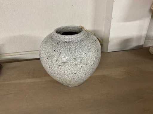 Vaso Brynxz