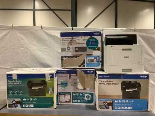 Diverși tipografi frați (5x)