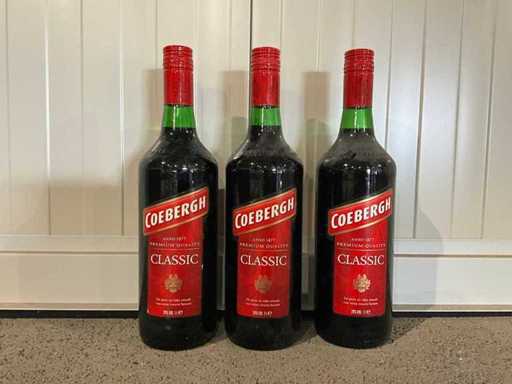 Bottle of Coebergh berry gin (3x)